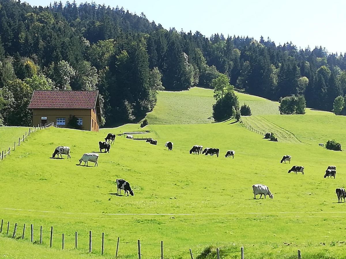 Gemuetliche Wohnung In Einfamilienhaus Alberschwende Extérieur photo
