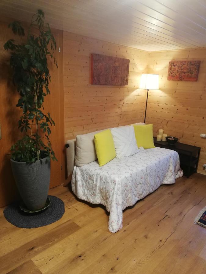 Gemuetliche Wohnung In Einfamilienhaus Alberschwende Extérieur photo