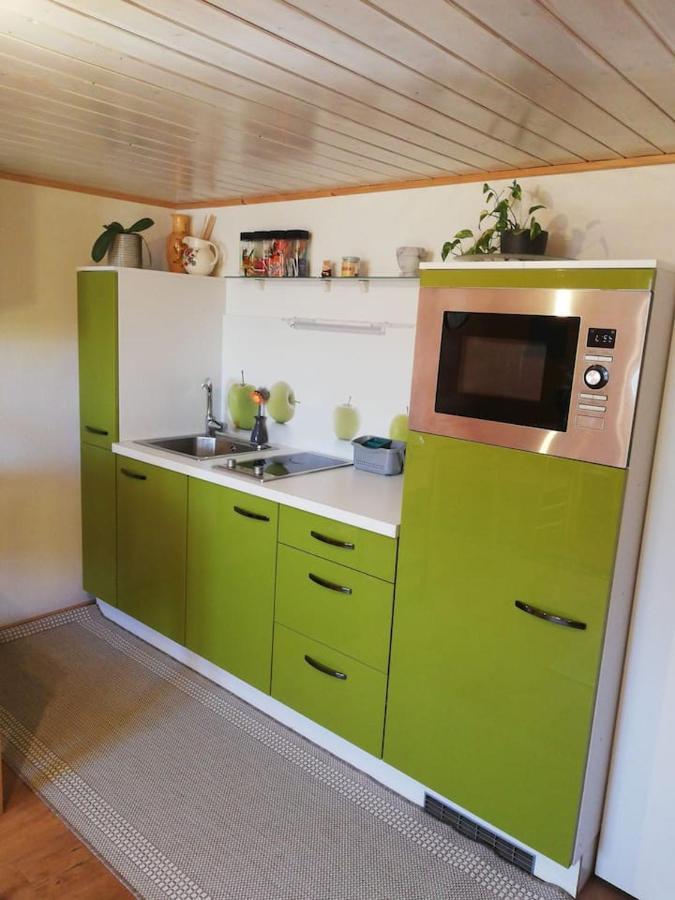 Gemuetliche Wohnung In Einfamilienhaus Alberschwende Extérieur photo